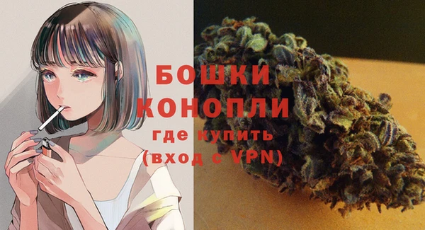 гидропоника Бородино