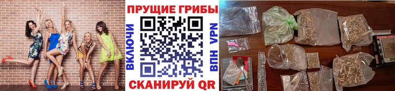 Псилоцибиновые грибы GOLDEN TEACHER Приволжский