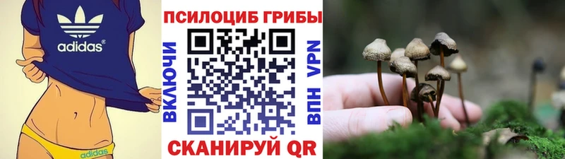 Галлюциногенные грибы мицелий  даркнет телеграм  Приволжский  ОМГ ОМГ зеркало 